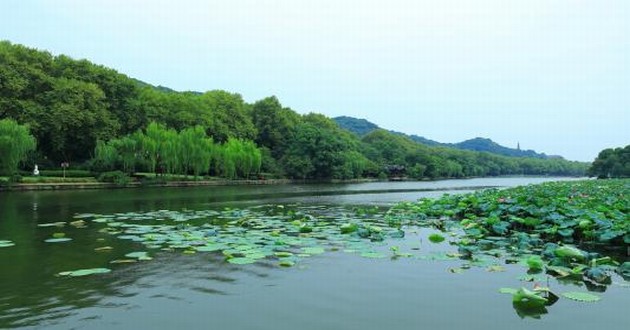 荣昌顶级八字算命大师排行榜前十名摩羯座六月整体运势 摩羯座星座运势