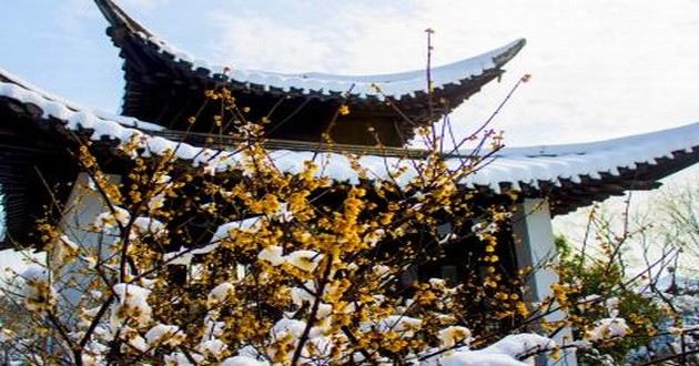 生肖每日运势(25年7月28日)