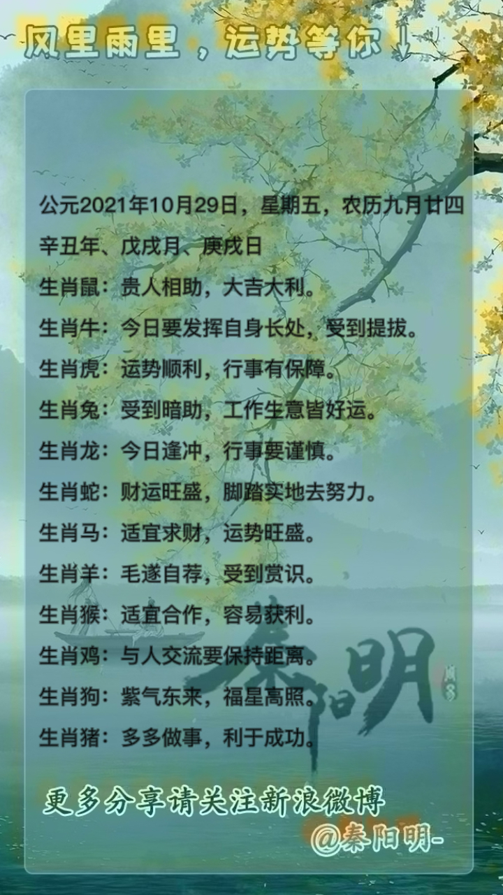 算命师秦阳明老师讲生肖每日运势