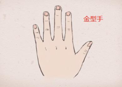 什么是金形手? 什么是金形手?