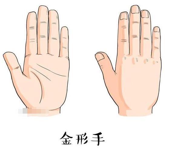 金形手命运如何? 金形手命运如何?