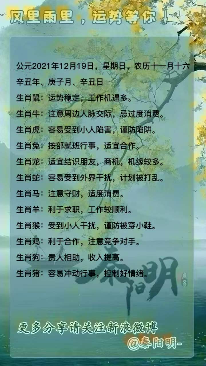 十二生肖每日运势