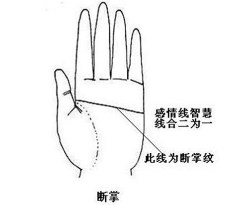 断掌纹的女人命运怎么样? 断掌纹的女人命运怎么样?