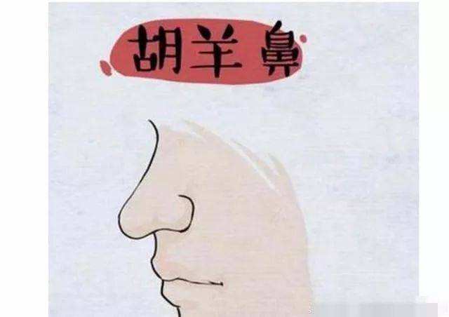 胡羊鼻有哪些具体的含义呢? 胡羊鼻有哪些具体的含义呢?