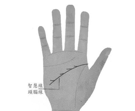 女性手相五大线纹详解 女性手相五大线纹详解