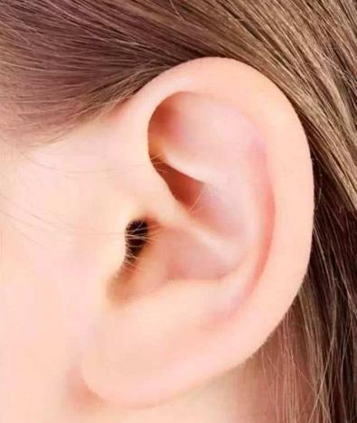 如何从耳朵看事业、家庭、健康运? 如何从耳朵看事业、家庭、健康运?