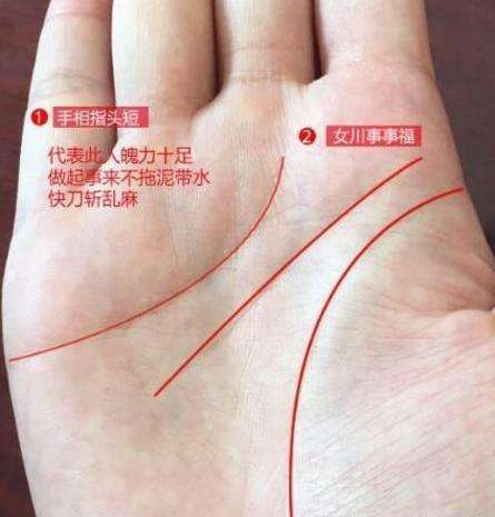 川字纹的手相有哪些含义? 川字纹的手相有哪些含义?