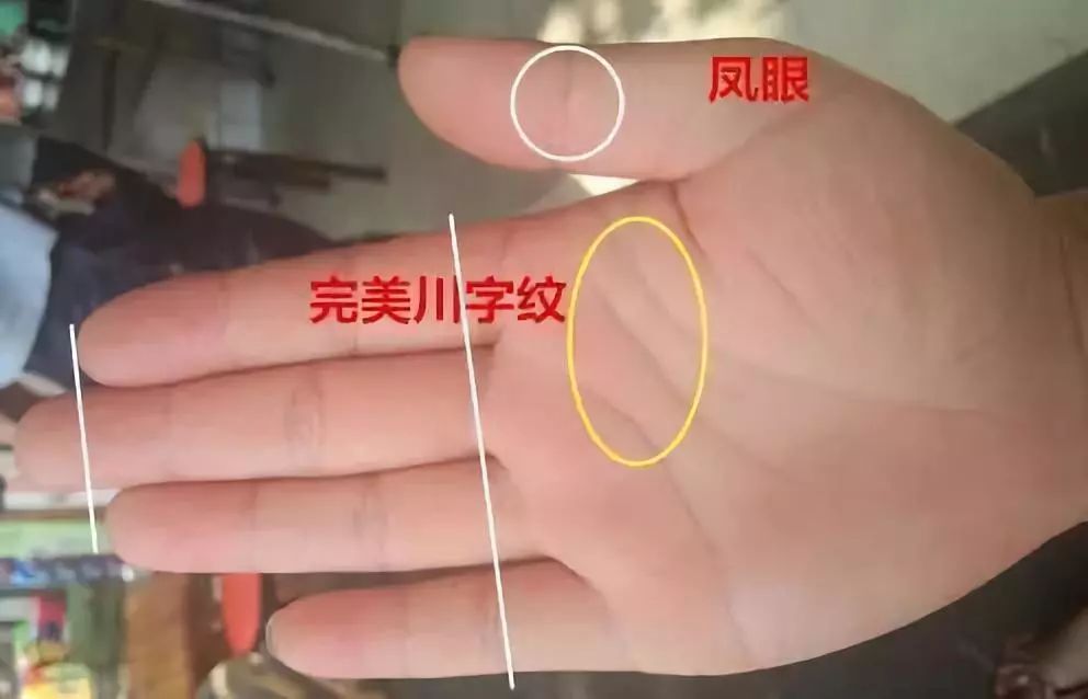 手相手纹川字纹的含义 手相手纹川字纹的含义