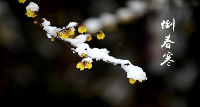 雨水节气该如何养生? 雨水节气该如何养生?