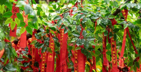 2022年里顺风顺水的生肖有哪些呢? 2022年里顺风顺水的生肖有哪些呢?