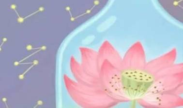 2022年桃花位放什么比较好? 2022年桃花位放什么比较好?