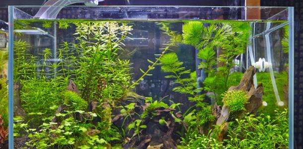 五行属水的求财方位 五行属水的求财方位