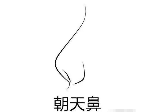 通天鼻的人有怎样的性格特征? 通天鼻的人有怎样的性格特征?