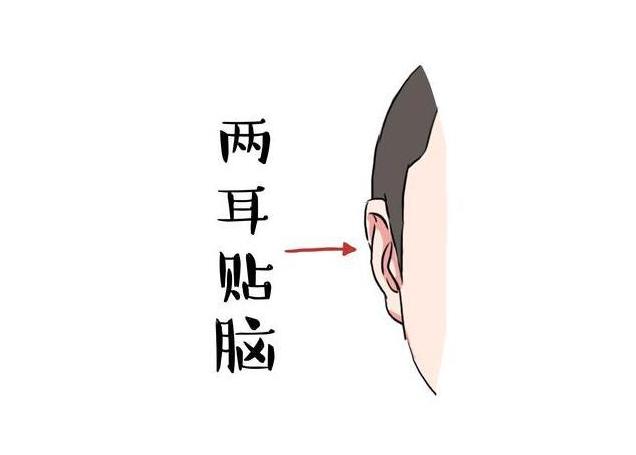 双耳贴脑的人运势好不好? 双耳贴脑的人运势好不好?