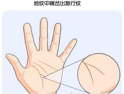 旅行线不同形态代表了什么?
