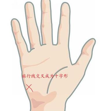 旅行线不同形态代表了什么?