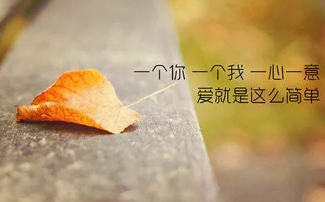 两条事业线由月丘平行而上 两条事业线由月丘平行而上