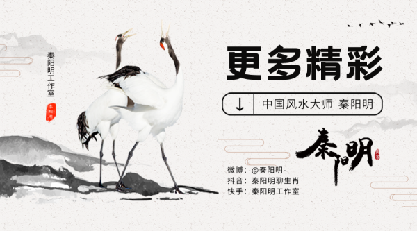 秦阳明老师分析面相中脸型代表的命运