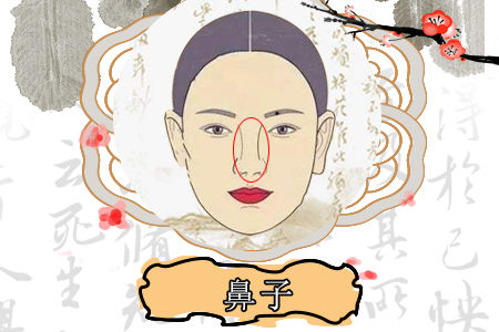 天津看相:猪胆鼻的女人是否旺夫? 天津看相:猪胆鼻的女人是否旺夫?