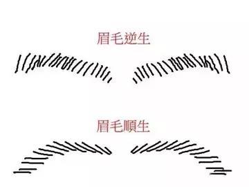 几种长得不好的眉相分析 几种长得不好的眉相分析
