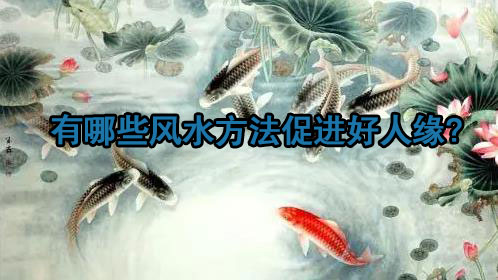 有哪些风水方法促进好人缘?