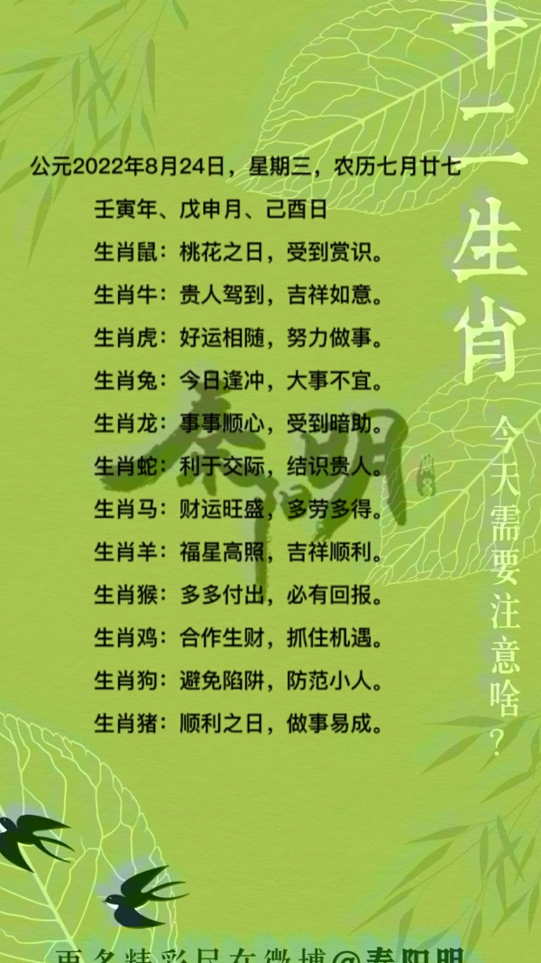 解析2022年8月24日十二生肖每日运势