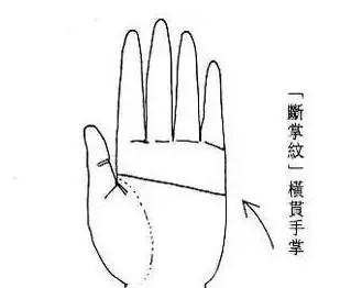 夫妻皆有断掌纹 夫妻皆有断掌纹