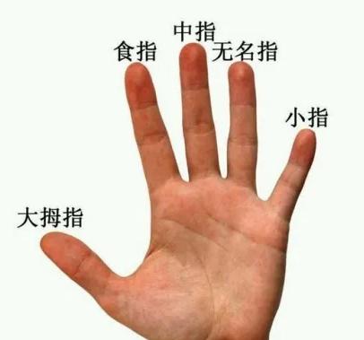 适合娱乐圈发展的手相特征