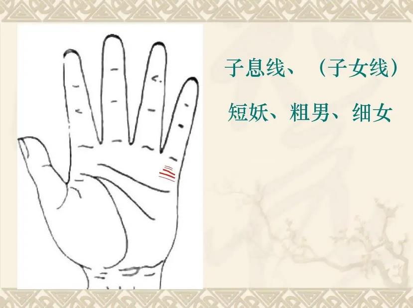 手相子女线图解
