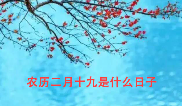 阴历二月十九出生的人是什么命
