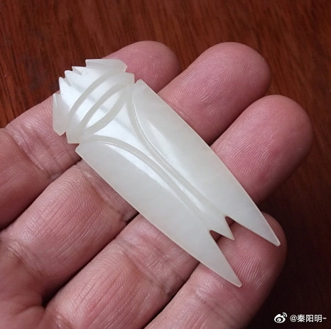 蝉吊坠的禁忌 蝉吊坠的禁忌