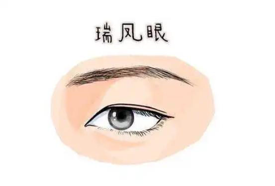 瑞凤眼的人运势怎样
