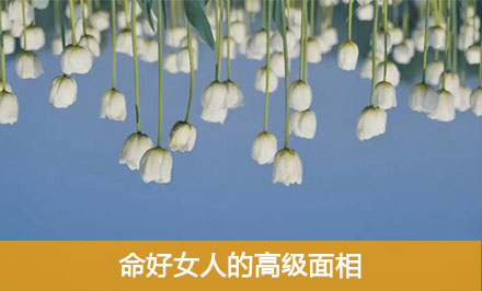 女人什么面相最完美