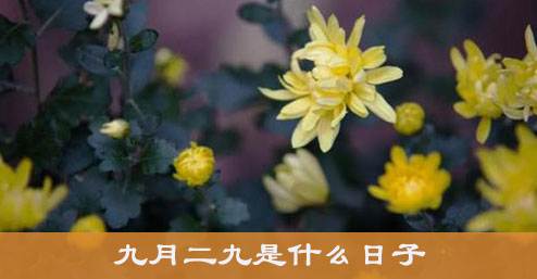 九月二九是什么意思