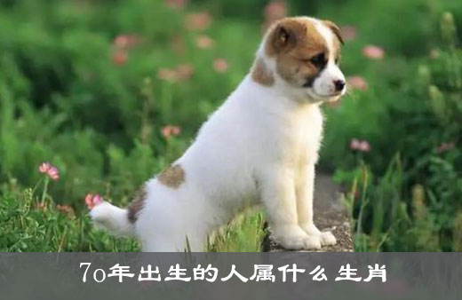 7o年出生的人属什么生肖