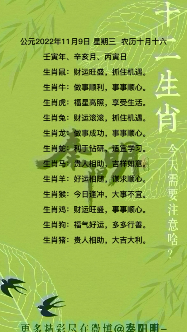 2022年11月08日十二生肖每日运势