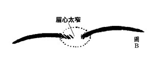 哪种眉毛有害人倾向