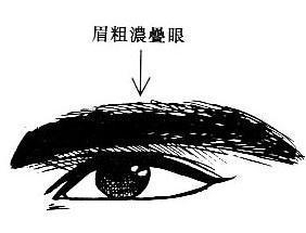哪种眉毛有害人倾向