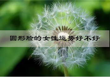 微信截图_20221115113941.jpg