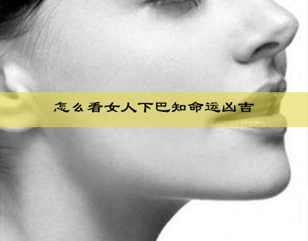 算命大师教你怎么看女人下巴知命运凶吉 算命大师教你怎么看女人下巴知命运凶吉
