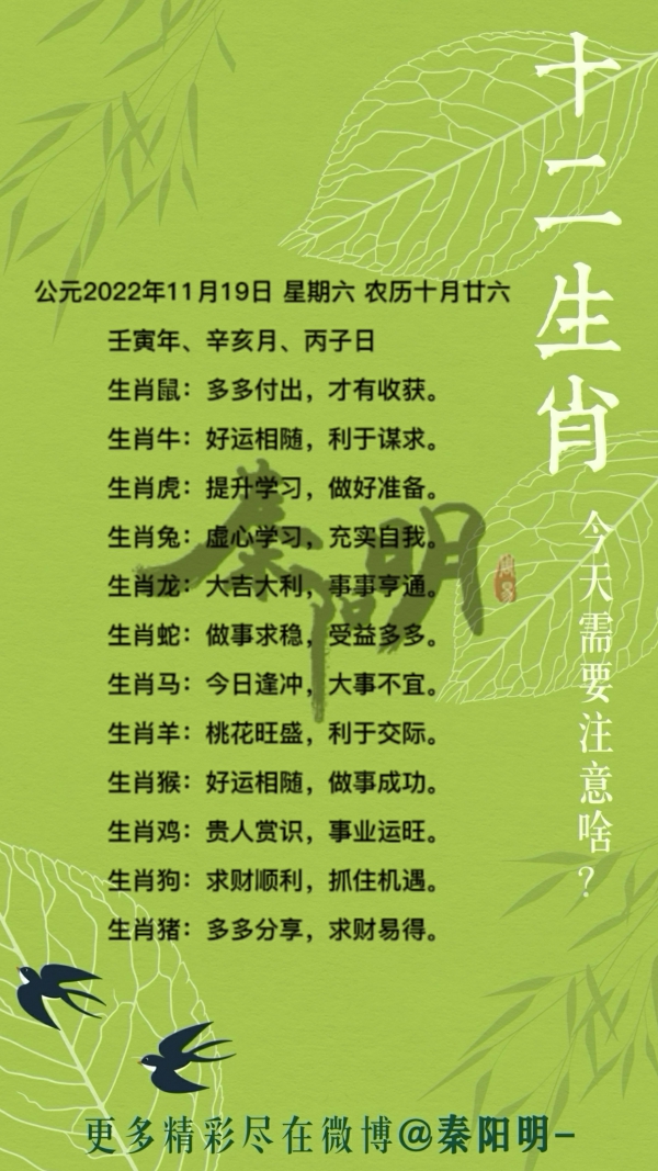 秦阳明生肖每日运势（22年11月19日）
