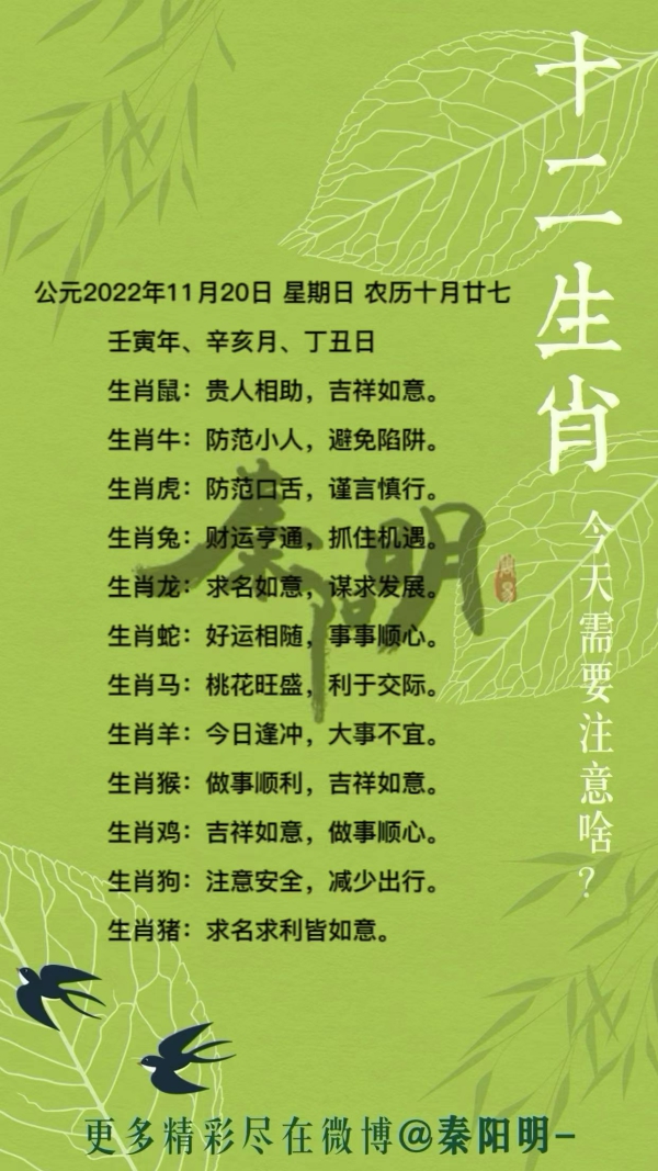 秦阳明生肖每日运势（22年11月20日）