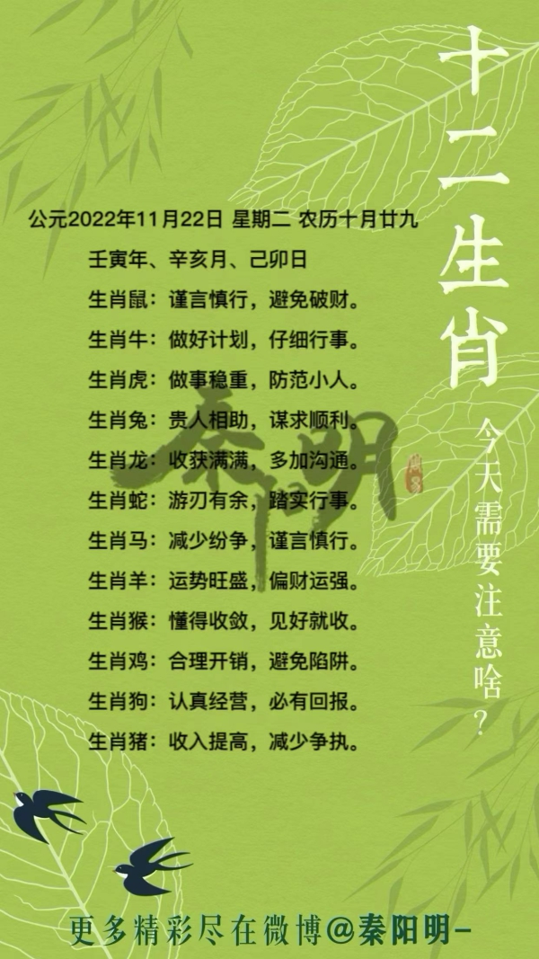秦阳明生肖每日运势（22年11月22日）
