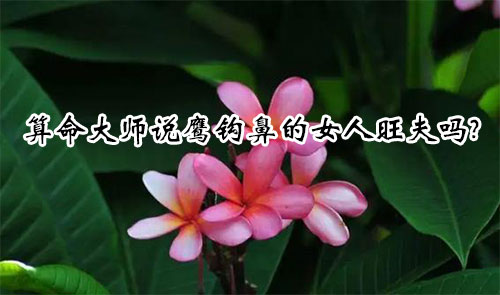 算命大师说鹰钩鼻的女人旺夫吗?