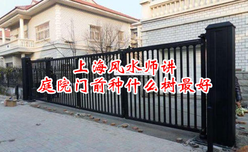 上海风水师讲庭院门前种什么树最好 上海风水师讲庭院门前种什么树最好