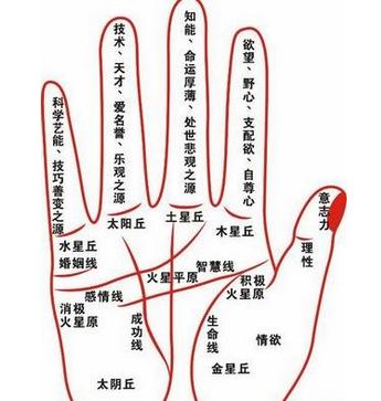 算命大师教你重新认识情商与智商 算命大师教你重新认识情商与智商