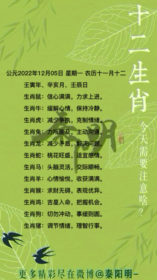 秦阳明生肖每日运势（22年12月05）