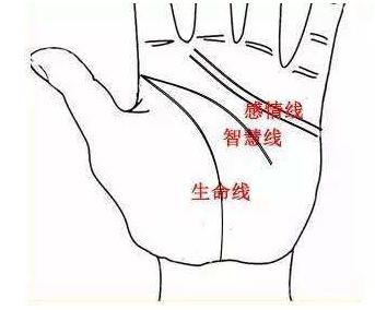 1670469197117701.jpg 图片12.jpg