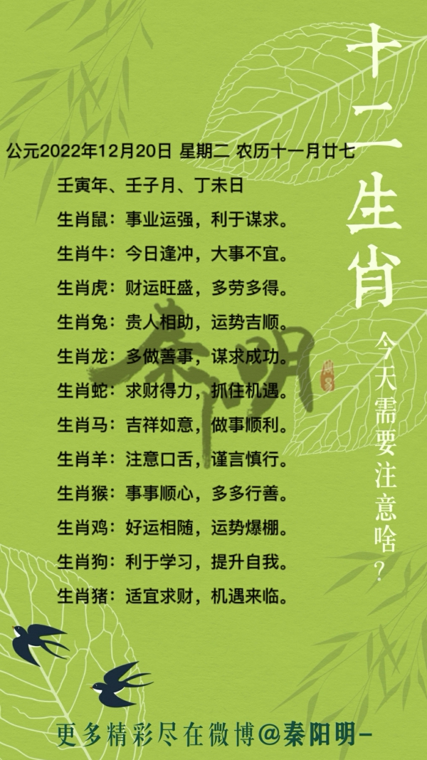 秦阳明生肖每日运势（22年12月20日）
