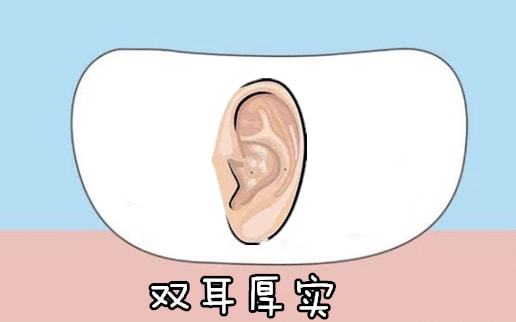 面相分析之什么样的耳朵最有福气 面相分析之什么样的耳朵最有福气